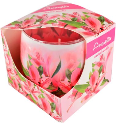 AMARYLLIS