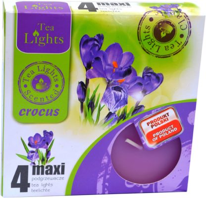 crocus