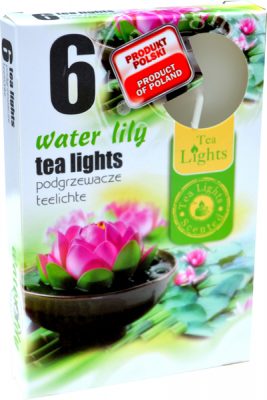 water lily