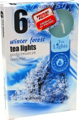 winter forest